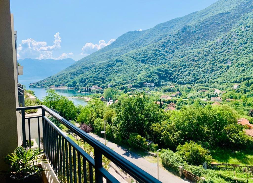 Lavender Bay Apartment F8 Donji Morinj Kültér fotó